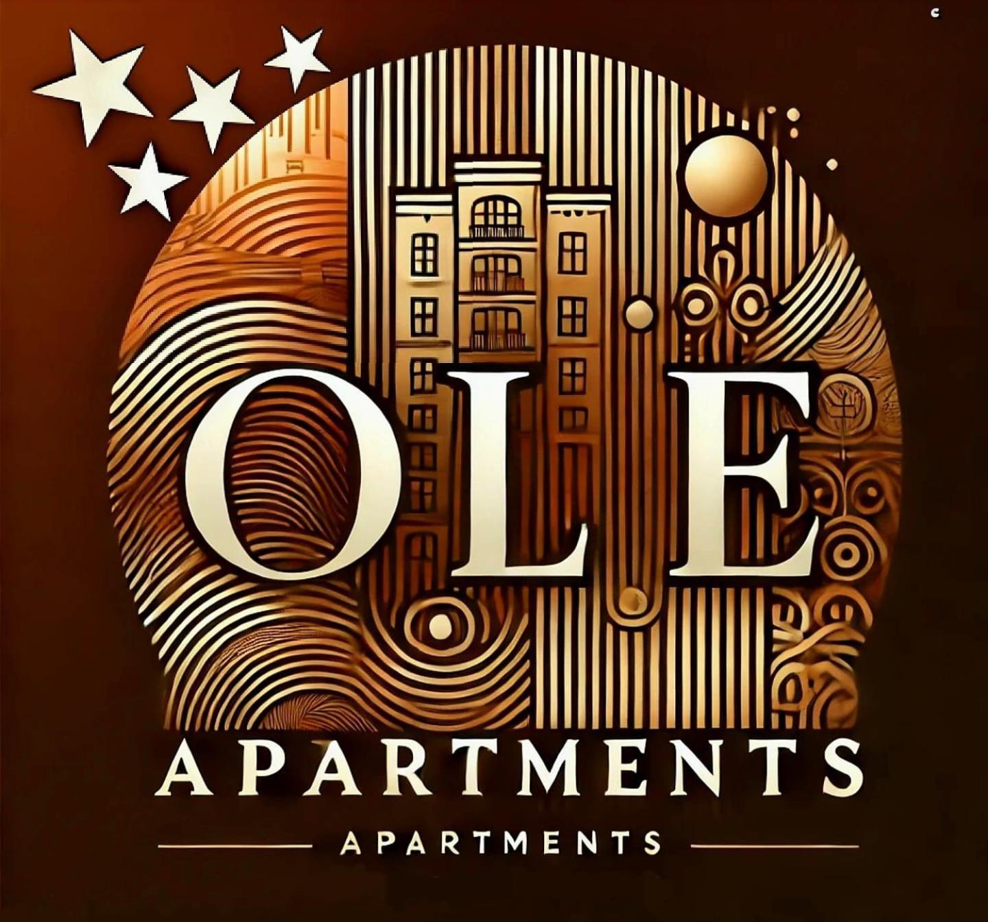 Ole Apartment - Get Your Energy For Free! Coffee And Tea On The House Timisoara Exterior foto